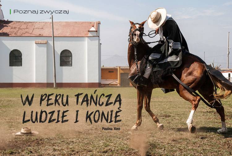 W Peru tańczą ludzie i konie